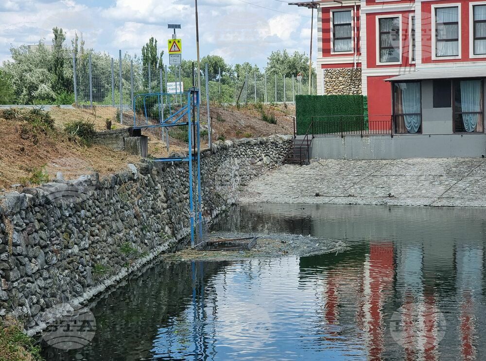 Ямбол - водно съоръжение - ремонт - мъртва риба