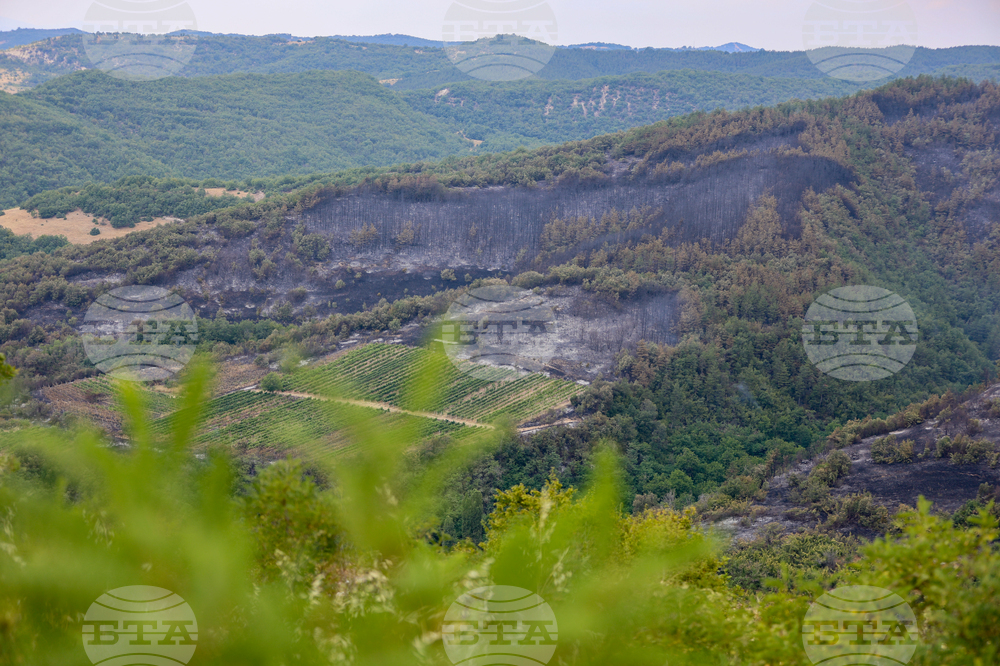 Село Горно Спанчево - горски пожар