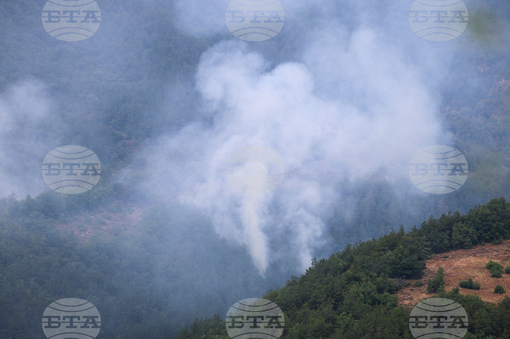Село Горно Спанчево - горски пожар