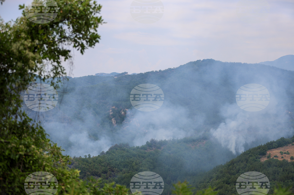 Село Горно Спанчево - горски пожар