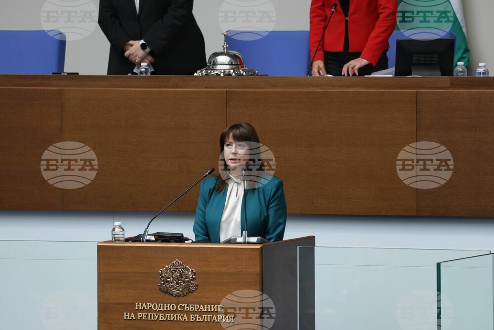 Velislava Delcheva Is Elected New Ombudsman