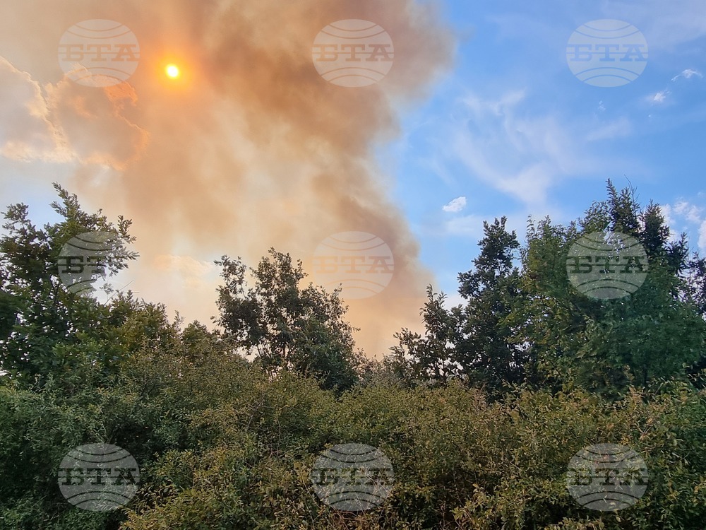 Продължават усилията за овладяване на пожара, горящ на широк фронт западно и южно от село Стефан Караджово в област Ямбол