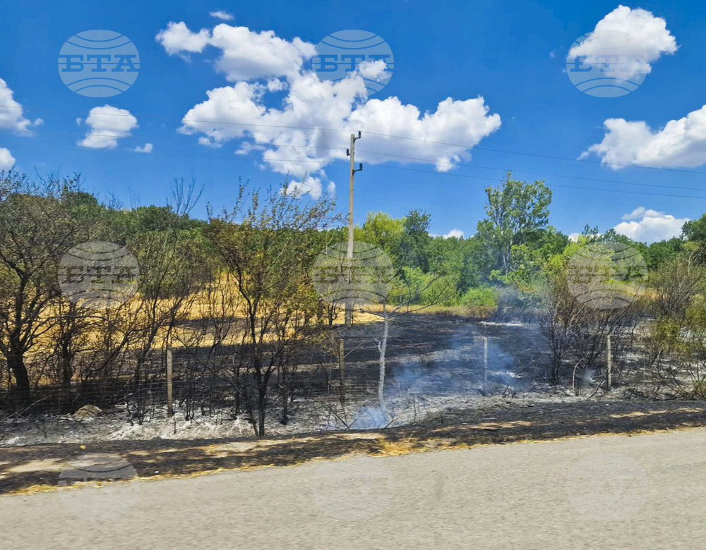 Trakia Motorway Reopens after Being Closed due to Dense Smoke from Fire