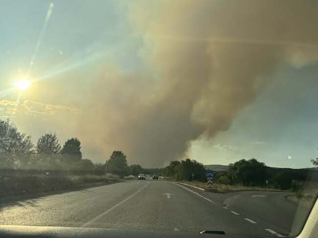 Временно е ограничено движението по пътя Беледие хан – село Понор заради задимяване, съобщиха от АПИ