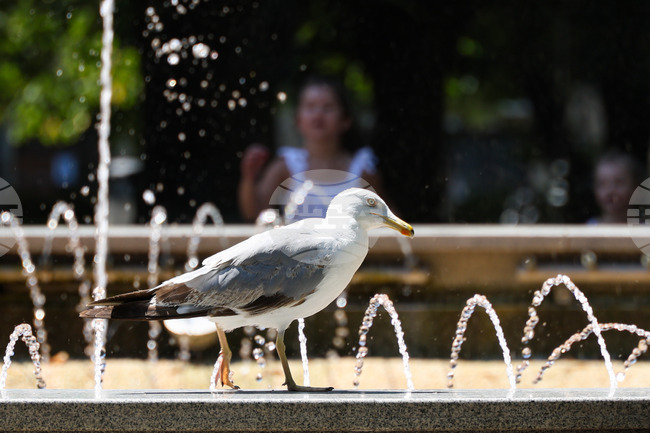Прогноза за времето