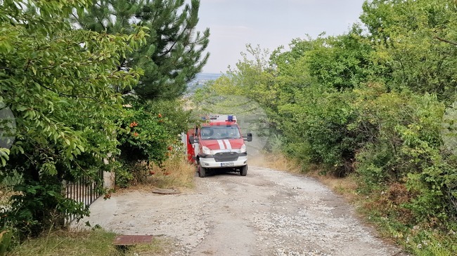 Шест къщи са били застрашени от пожар в село Ръжево Конаре, започнал от палене на сухи треви в дворно място