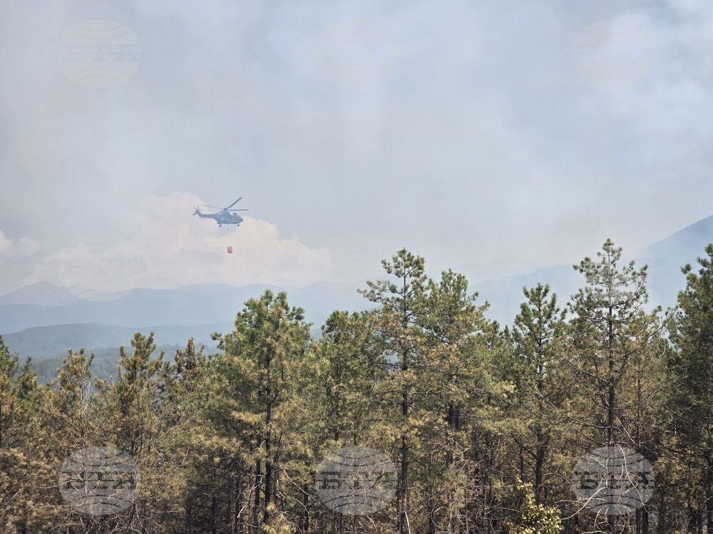 Major Power Line Supplying Greece Shut Down Due to Wildfire near Ilindentsi, SW Bulgaria