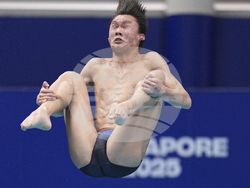 Singapore Swimming Worlds