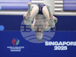 Singapore Swimming Worlds
