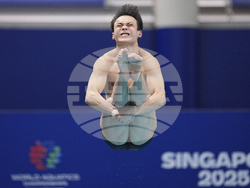 Singapore Swimming Worlds