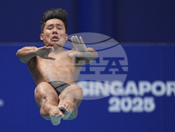 Singapore Swimming Worlds