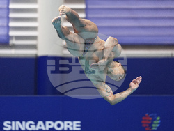 Singapore Swimming Worlds