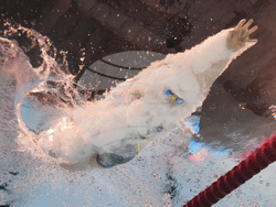 Singapore Swimming Worlds