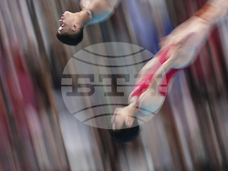Singapore Swimming Worlds