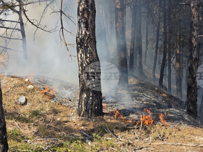 Пожар е горял в района на Банкя и манастира "Св. Петка", но вече е потушен, съобщиха от "Аварийна помощ и превенция" към Столичната община