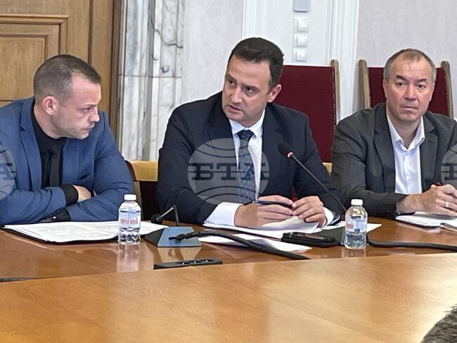 Министерството на енергетиката участва в гасенето на пожарите с "цялата възможна техника", каза Жечо Станков