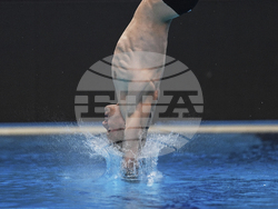 Singapore Swimming Worlds