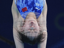 APTOPIX Singapore Swimming Worlds