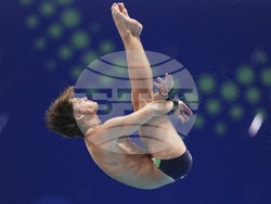 Singapore Swimming Worlds