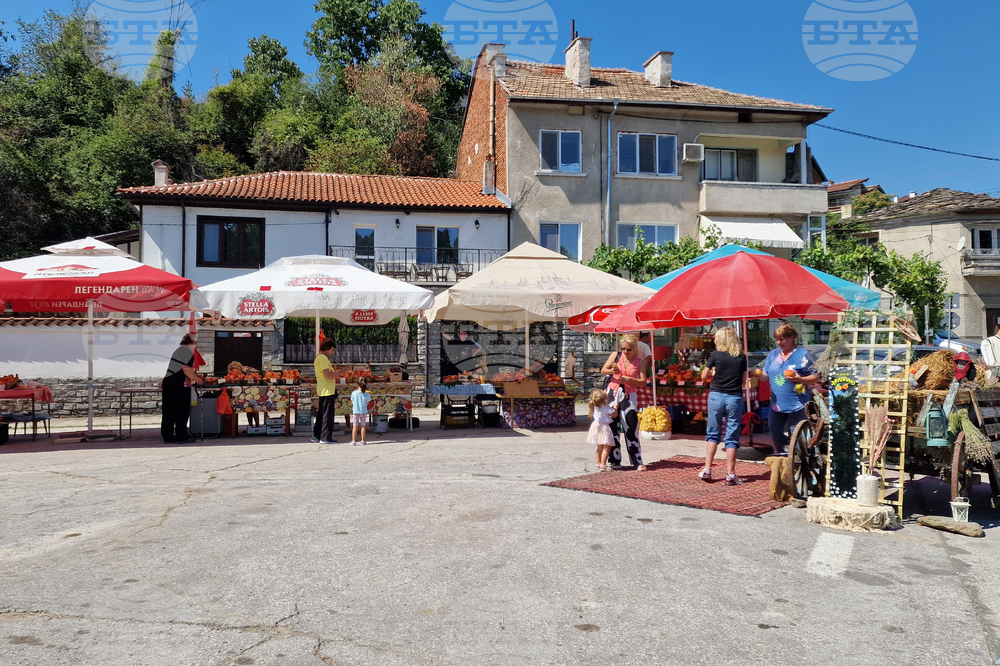 Село Храбрино - Празник на храбринската праскова