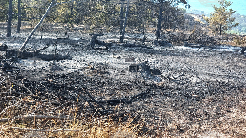 Wildfire Near Balchik Is Largely Contained, Some Hotspots Remain