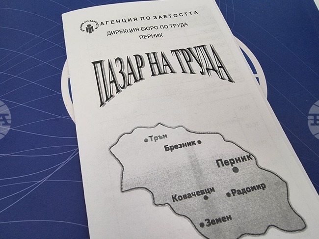 В Бюрото по труда в Перник са обявени работни места за биолог, химик-аналитик, учители, медицински сестри и други квалифицирани специалисти