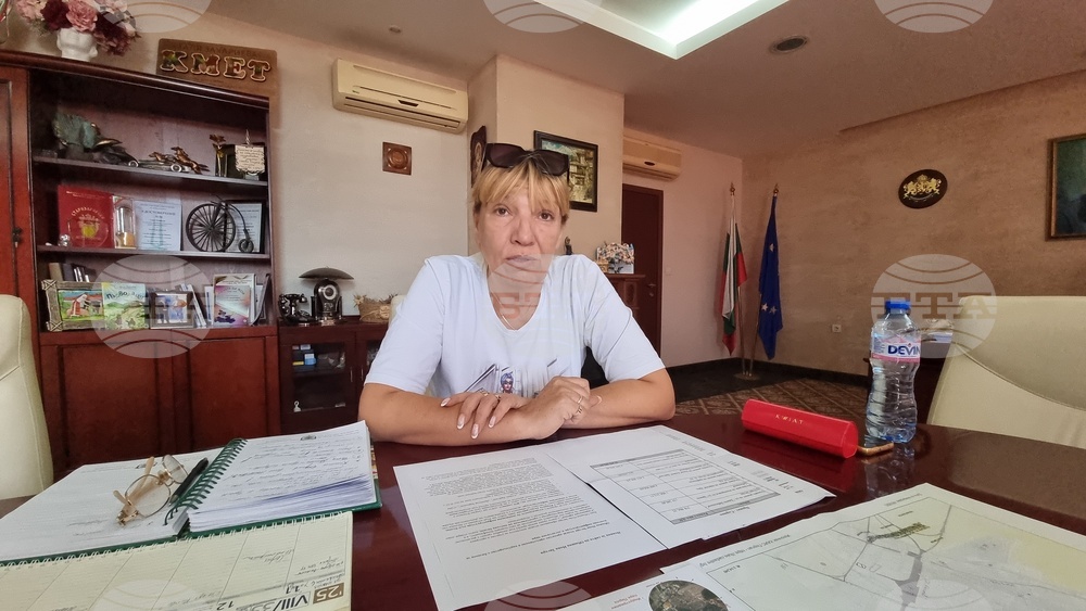 Община Нова Загора е предприела действия след сигнали за животински отпадъци край село Коньово, заяви кметът Галя Захариева