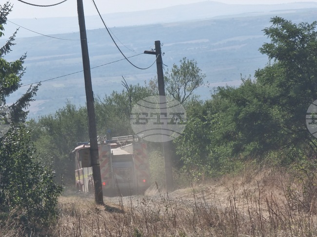 Прогнозите са за усилване на вятъра в района на пожарите в община Сунгурларе, съобщи ст. комисар Любомир Баров