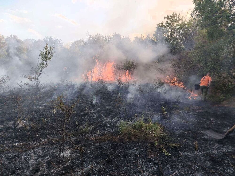 Огнеборци, горски служители и доброволци участваха в потушаването на пожари в ловешките села Къкрина и Радювене