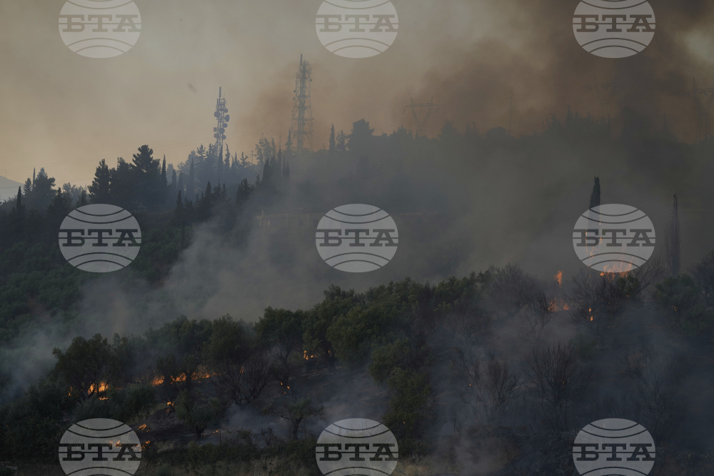 Три са активните горски пожари в Албания