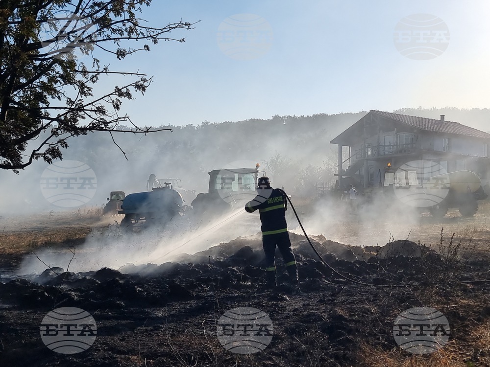 Пожарът в село Разбойна е погасен с екипна работа на пожарникари, горски служители и доброволци, каза кметът на Руен Ахмед Мехмед пред БТА
