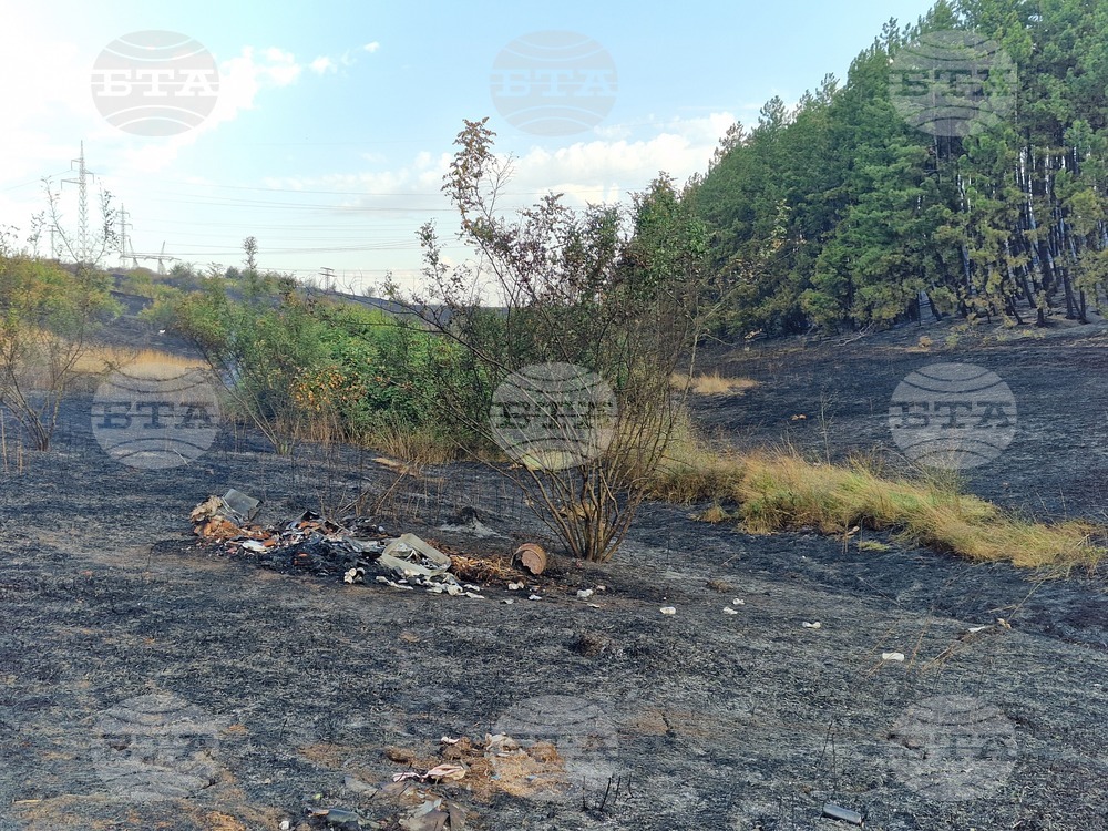Пожарът край гълъбовското село Обручище е локализиран, частичното бедствено положение остава в рамките на 48 часа
