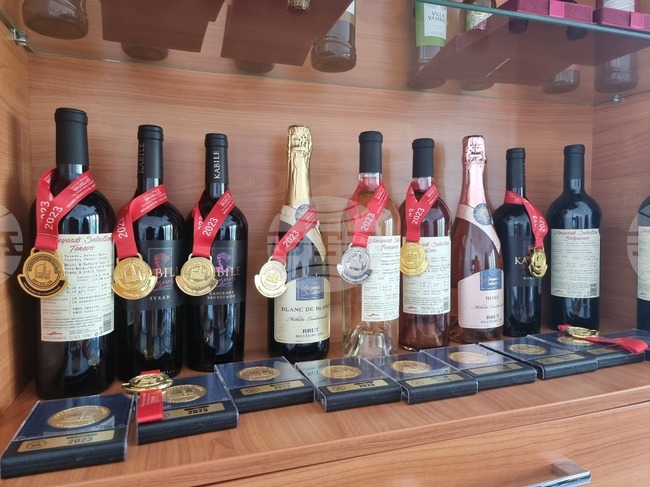 Трудните реколти показват майсторството на винаря, смятат във "Вила Ямбол", където ще работят за сортово разнообразие и ще инвестират в технологии