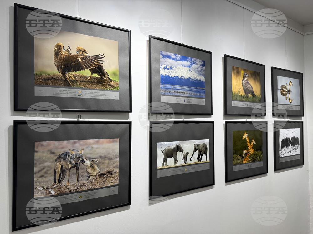 Exhibition of 12th International Photo Salon Plovdiv Opens at Museum of Photography in Kazanlak
