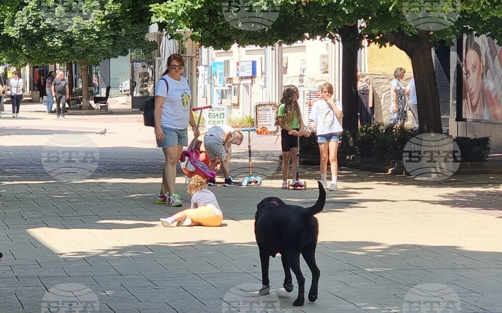 Проект за нова общинска наредба забранява разхождане на кучета в пешеходната зона на Смолян