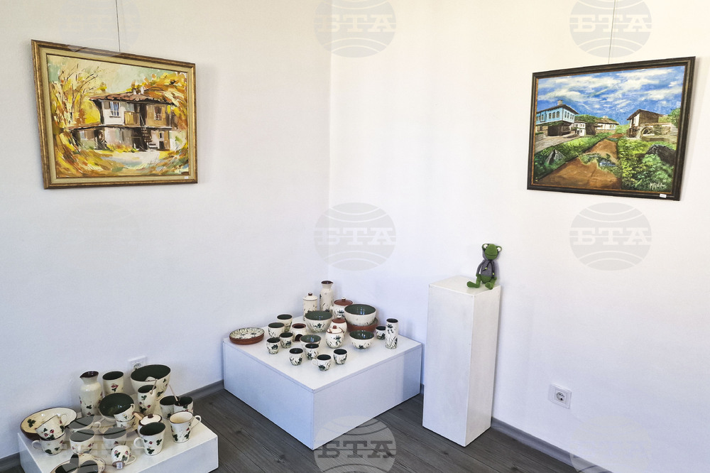 Първа самостоятелна изложба подреди младата художничка Марина Димитрова в галерия „Серякова къща“ в Троян
