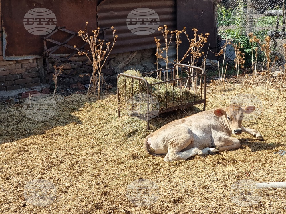 Ямбол - акция срещу кражба на вода