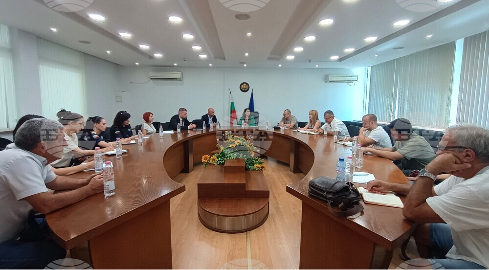 Намалява броят на нови огнища на шарка по овцете и козите, епидемията върви към затихване, бе посочено на заседание на Областната епизоотична комисия в Пловдив