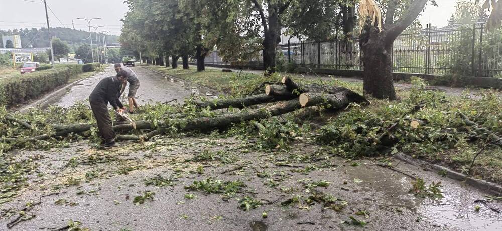 Паднали дървета и клони след бурята в Търговище разчистват екипи на общинските предприятия