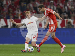 Germany Soccer Bundesliga