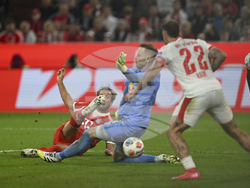 Germany Soccer Bundesliga