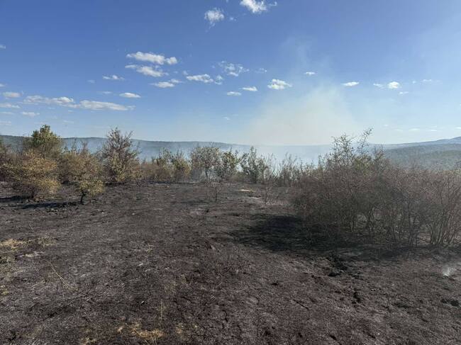 Сухи треви и храсти горят в землището на тополовградското село Устрем, съобщиха от Общинска администрация