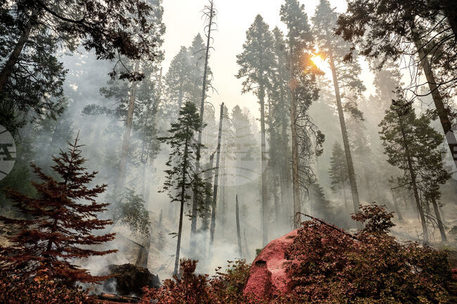 Високи температури и силни ветрове носят риск от горски пожари в южната част на американския щат Калифорния
