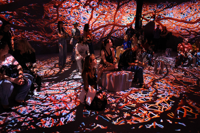 New Immersive Digital Art Space Opens in Sofia