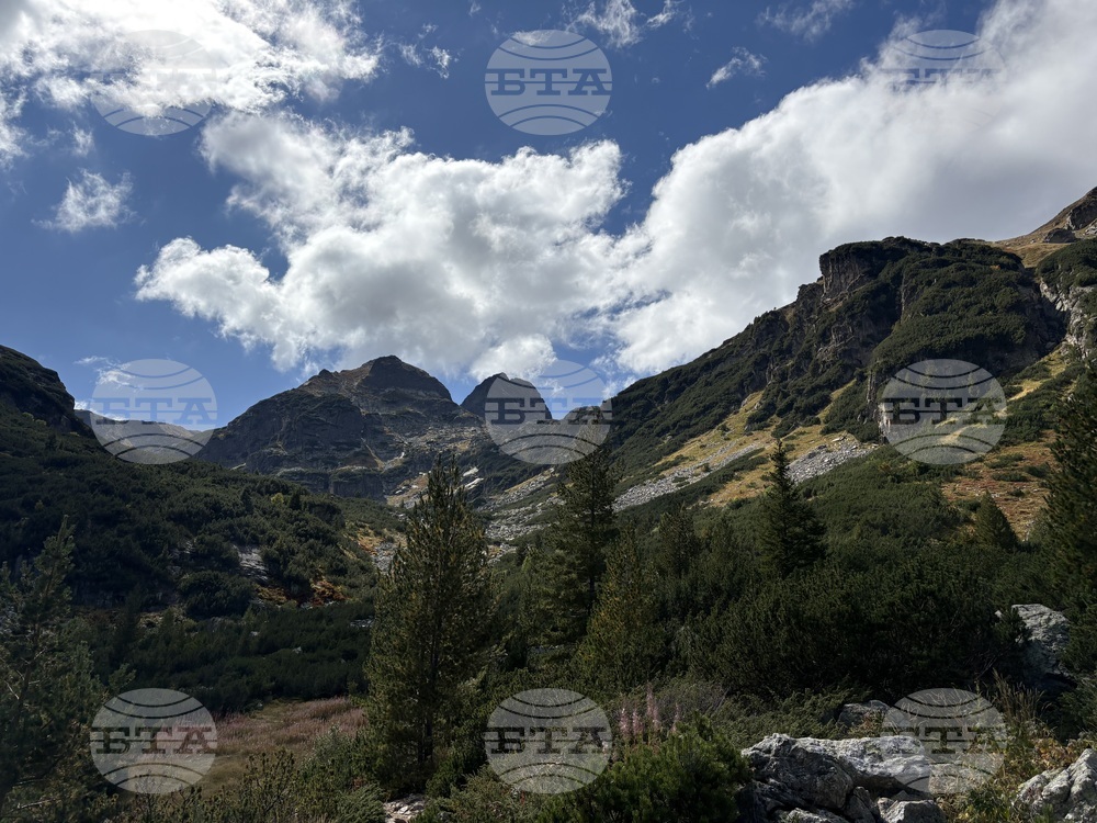 Не слагайте слушалки при разходка в гората, за да чуете приближаващо се животно, съветват от WWF-България
