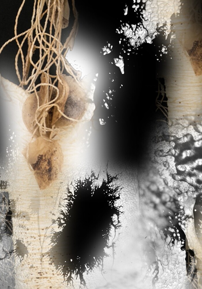 Mythological Transformations Exhibition to Open at Mission Gallery in Sofia