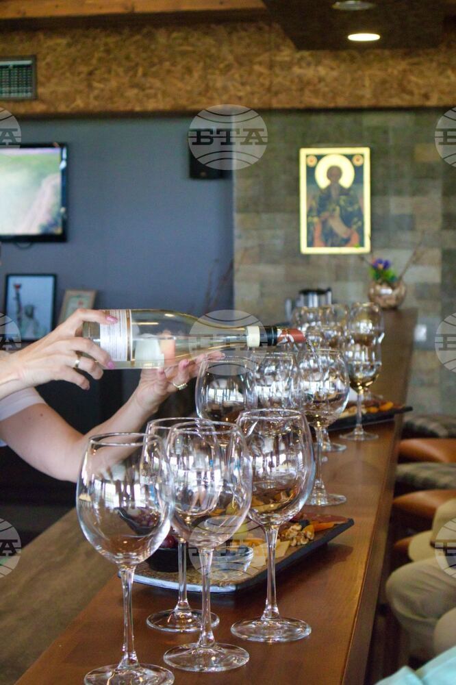 Zlaten Rozhen Winery to Add Sparkling Wine Equipment Next Vintage