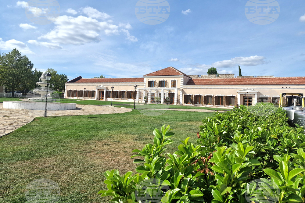 Midalidare Estate: Focusing on Expanding Production, Introducing Innovations, Launching New Wines