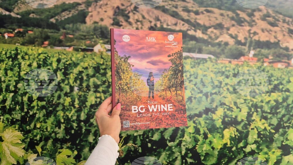BTA Publishes New BG Wine Leads the Way Ahead of UN Global Conference on Wine Tourism
