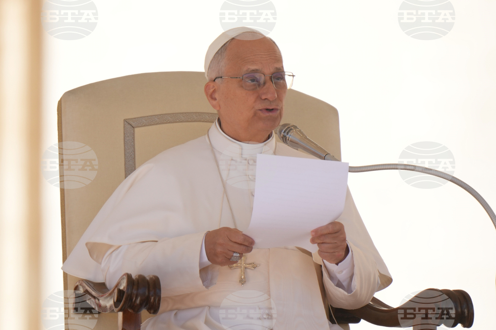 Pope Leo XIV Urges Support for Professionals and News Agencies